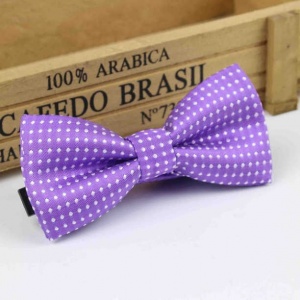 Boys Purple Polka Dot Bow Tie with Adjustable Strap